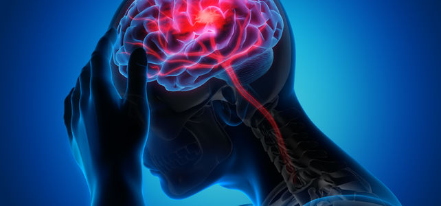 Des hémorragies cérébrales dues à un faible taux de LDL